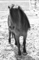 /album/timo/a2012-04-02-3-timo-jpg/